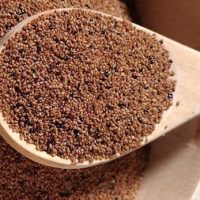 Teff-grain-1