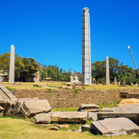 image - 2026-02-25T135435.906